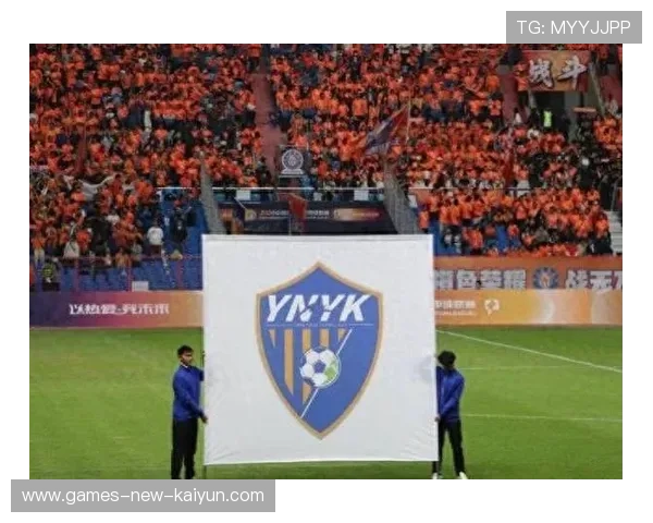 云南玉昆成功引援，巴乙球员与国脚加盟保级阵容