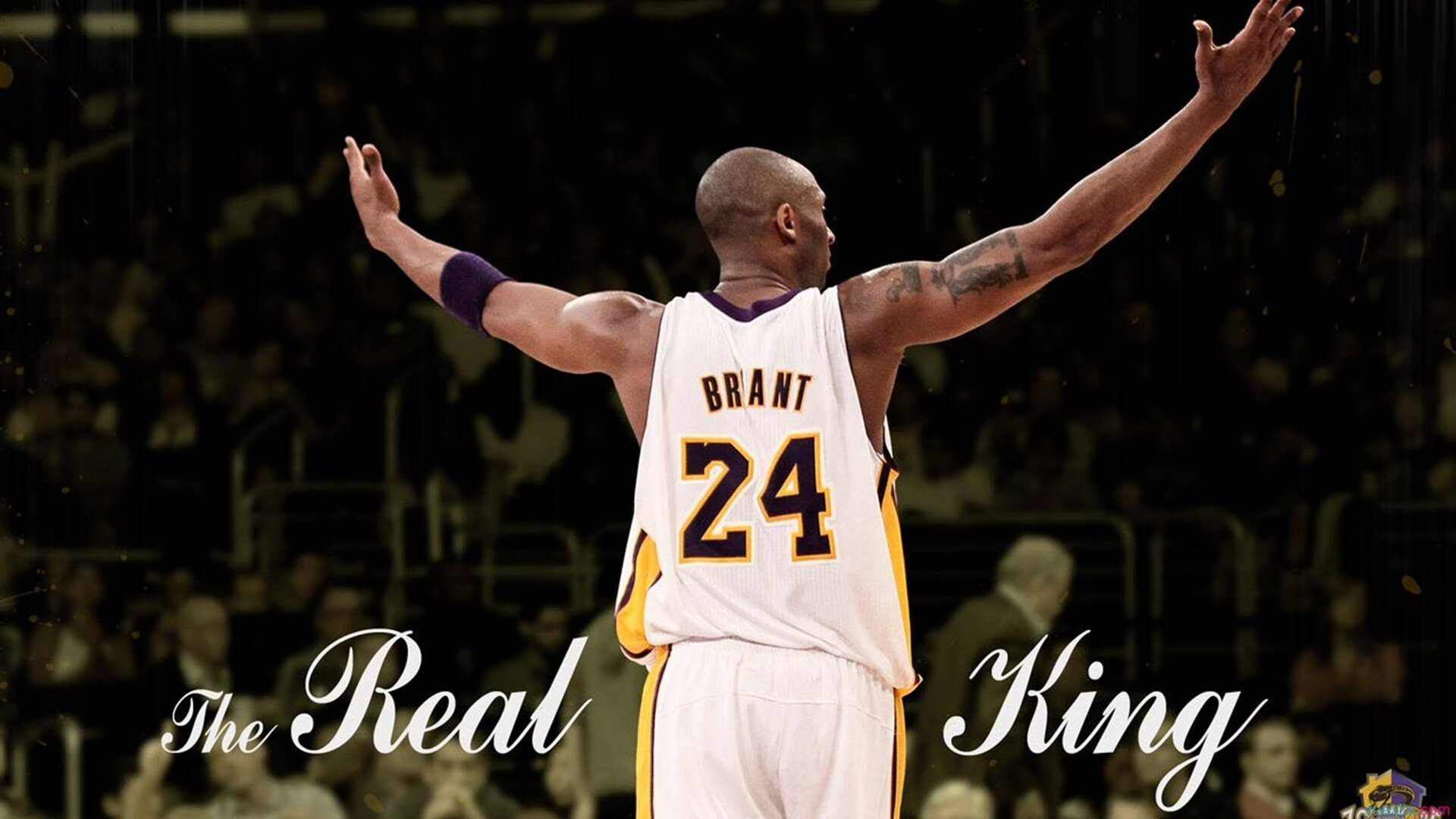 梅德韦杰夫的反击真漂亮，防守反打一绝，梅德韦杰夫能力如何